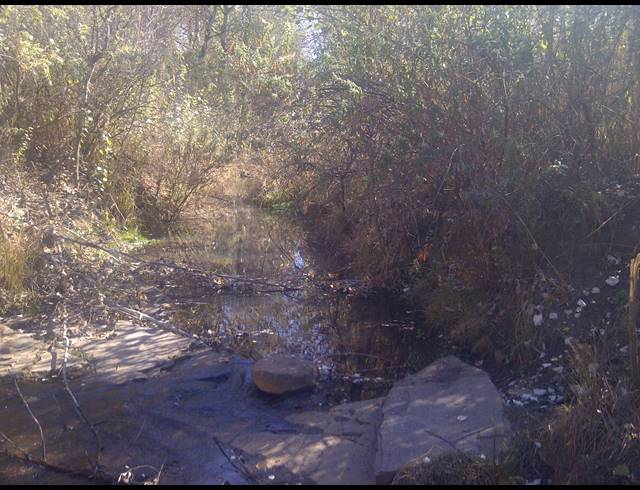 1,939HA FARM FOR SALE IN LEEUPORT